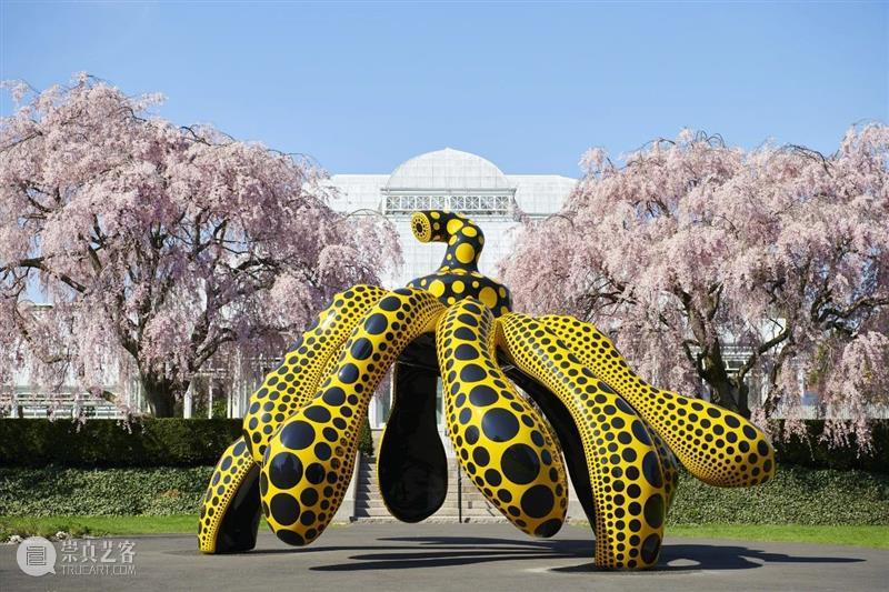 纽约植物园｜草间弥生（Yayoi Kusama）大型展览《宇宙自然》 草间弥生 纽约植物园 宇宙自然 Kusama 宇宙 现场 KUSAMA Nature 地点 日期 崇真艺客