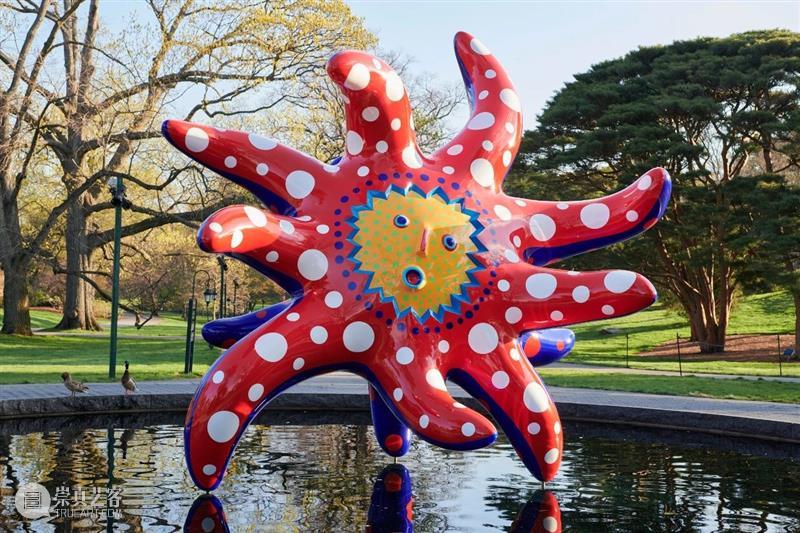 纽约植物园｜草间弥生（Yayoi Kusama）大型展览《宇宙自然》 草间弥生 纽约植物园 宇宙自然 Kusama 宇宙 现场 KUSAMA Nature 地点 日期 崇真艺客