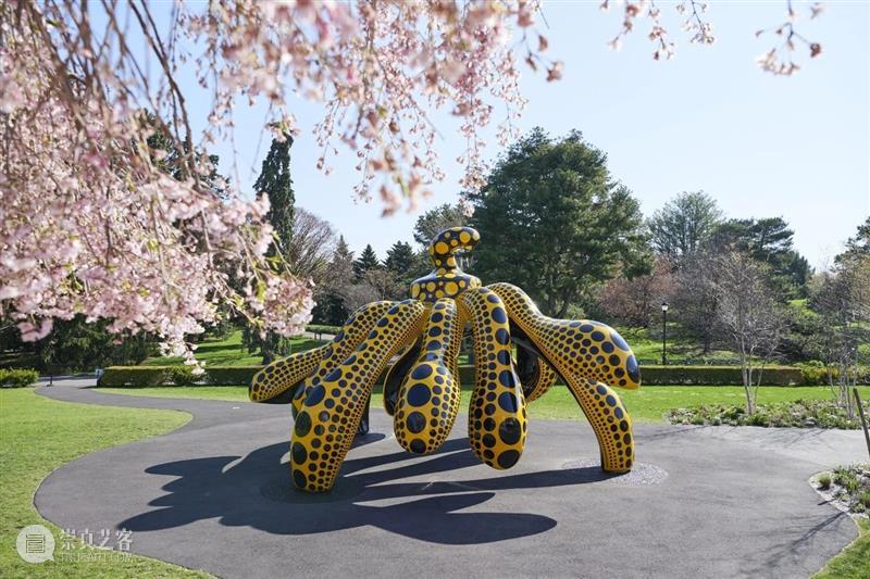 纽约植物园｜草间弥生（Yayoi Kusama）大型展览《宇宙自然》 草间弥生 纽约植物园 宇宙自然 Kusama 宇宙 现场 KUSAMA Nature 地点 日期 崇真艺客