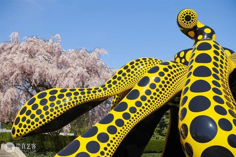 纽约植物园｜草间弥生（Yayoi Kusama）大型展览《宇宙自然》 草间弥生 纽约植物园 宇宙自然 Kusama 宇宙 现场 KUSAMA Nature 地点 日期 崇真艺客