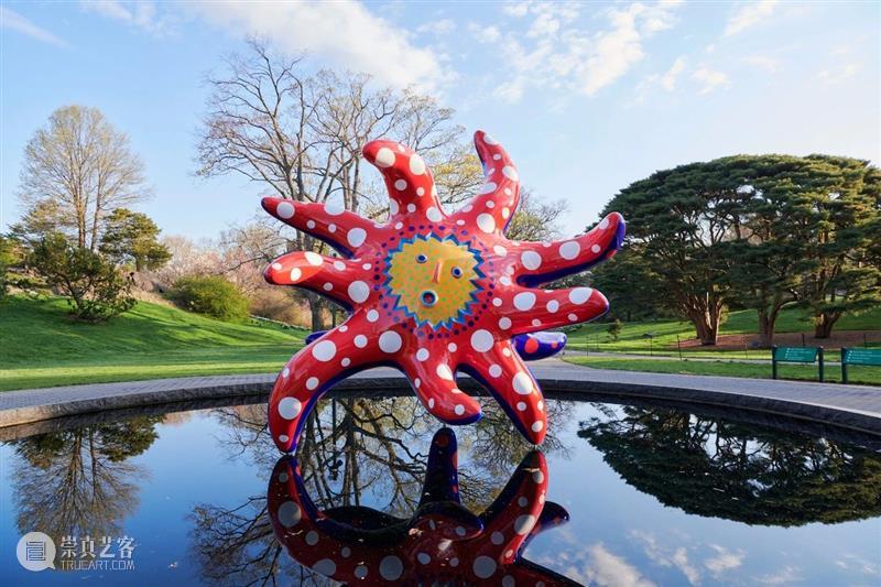 纽约植物园｜草间弥生（Yayoi Kusama）大型展览《宇宙自然》 草间弥生 纽约植物园 宇宙自然 Kusama 宇宙 现场 KUSAMA Nature 地点 日期 崇真艺客