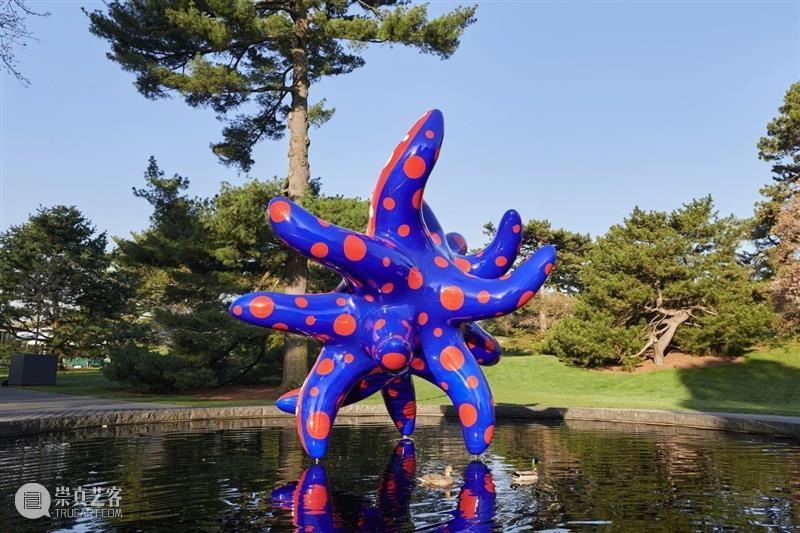 纽约植物园｜草间弥生（Yayoi Kusama）大型展览《宇宙自然》 草间弥生 纽约植物园 宇宙自然 Kusama 宇宙 现场 KUSAMA Nature 地点 日期 崇真艺客