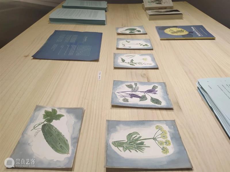 美术馆课堂|“同音反复,声深入心”——“女性宣言”作品解读 女性 宣言 作品 课堂 美术馆 东南亚 序列 研究展 项目 历程 崇真艺客