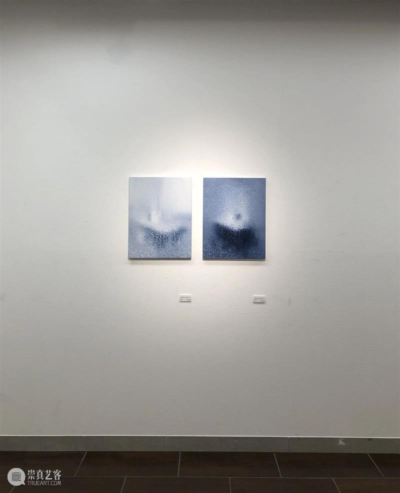艺术家动态 | 王舒野东京个展——非认识性视觉的瞬间 艺术家 个展 非认识性 视觉 瞬间 动态 東京画廊+ 王舒野 东京 日本 崇真艺客