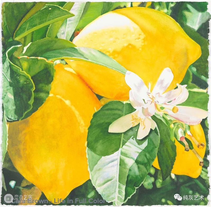 阳光拂过果树 阳光 果树 美国 画家 Brown 色彩 气息 空气 水果 作品 崇真艺客