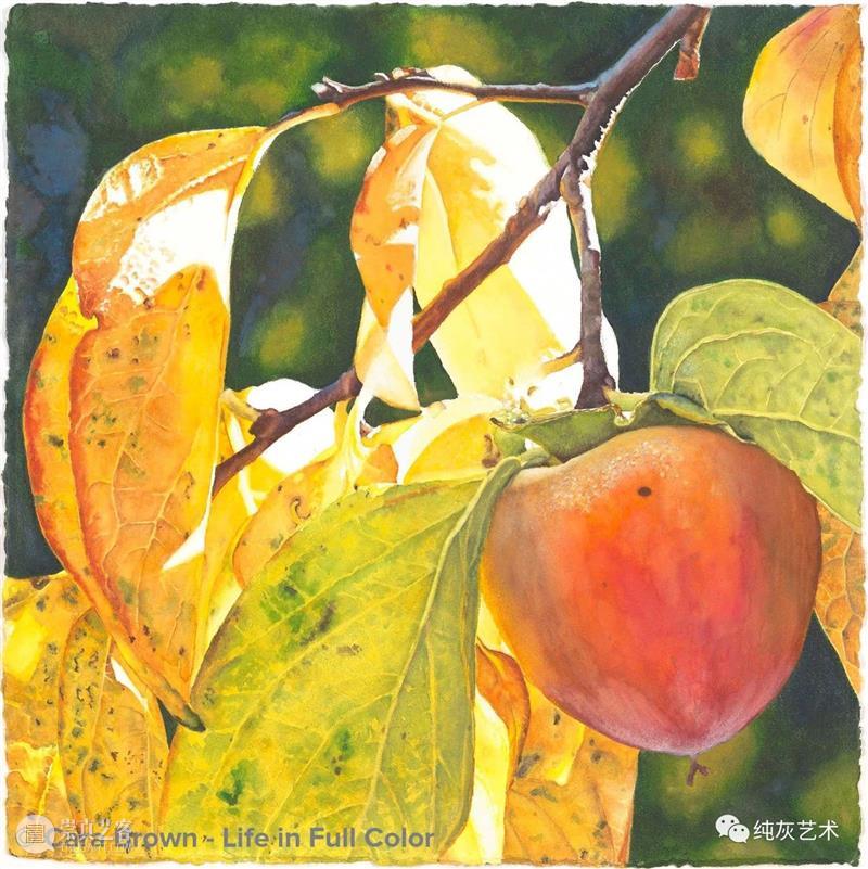 阳光拂过果树 阳光 果树 美国 画家 Brown 色彩 气息 空气 水果 作品 崇真艺客