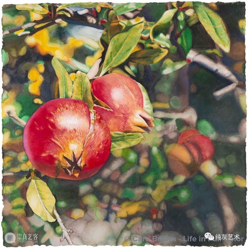阳光拂过果树 阳光 果树 美国 画家 Brown 色彩 气息 空气 水果 作品 崇真艺客