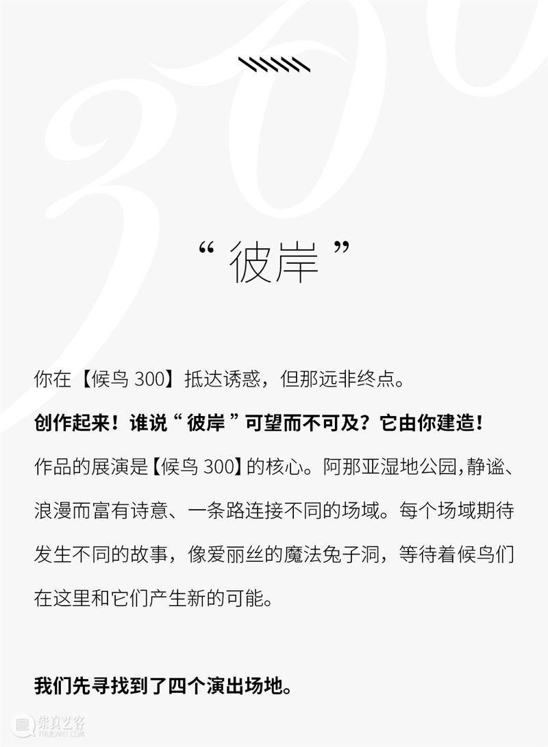 阿那亚戏剧节【候鸟300】— 我们管地儿,不管饭! 阿那亚 戏剧节 候鸟 地儿 剧目 时间表 崇真艺客