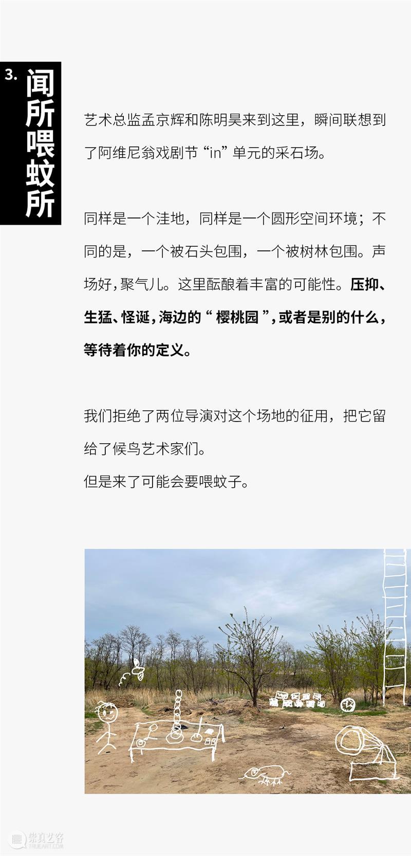 阿那亚戏剧节【候鸟300】— 我们管地儿,不管饭! 阿那亚 戏剧节 候鸟 地儿 剧目 时间表 崇真艺客