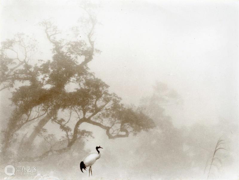 中贸圣佳2021春拍｜中国艺术摄影的黄金年代·民国艺术摄影专题 艺术 中国 民国 专题 黄金 年代 艺术摄影 拍卖会 北京国际饭店会议中心 北京市 崇真艺客