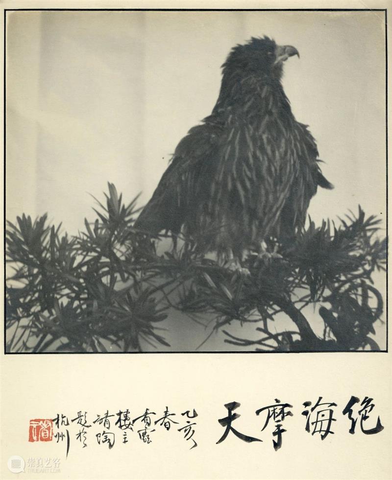 中贸圣佳2021春拍｜中国艺术摄影的黄金年代·民国艺术摄影专题 艺术 中国 民国 专题 黄金 年代 艺术摄影 拍卖会 北京国际饭店会议中心 北京市 崇真艺客