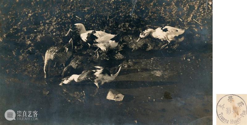 中贸圣佳2021春拍｜中国艺术摄影的黄金年代·民国艺术摄影专题 艺术 中国 民国 专题 黄金 年代 艺术摄影 拍卖会 北京国际饭店会议中心 北京市 崇真艺客