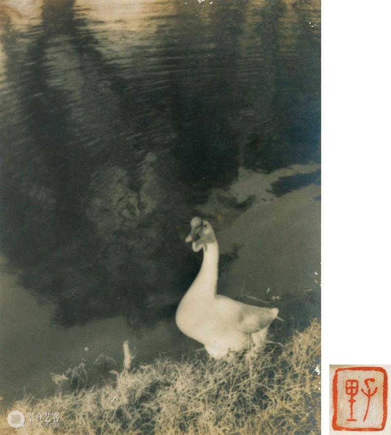 中贸圣佳2021春拍｜中国艺术摄影的黄金年代·民国艺术摄影专题 艺术 中国 民国 专题 黄金 年代 艺术摄影 拍卖会 北京国际饭店会议中心 北京市 崇真艺客