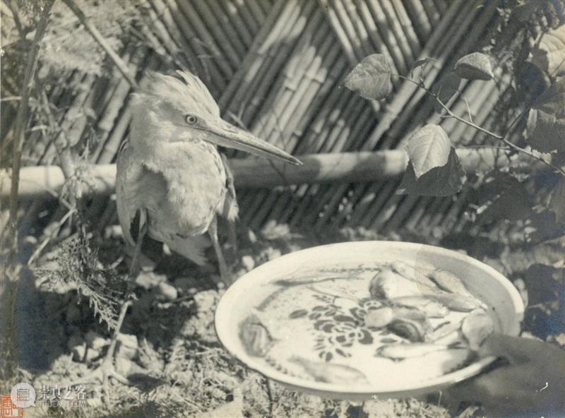 中贸圣佳2021春拍｜中国艺术摄影的黄金年代·民国艺术摄影专题 艺术 中国 民国 专题 黄金 年代 艺术摄影 拍卖会 北京国际饭店会议中心 北京市 崇真艺客