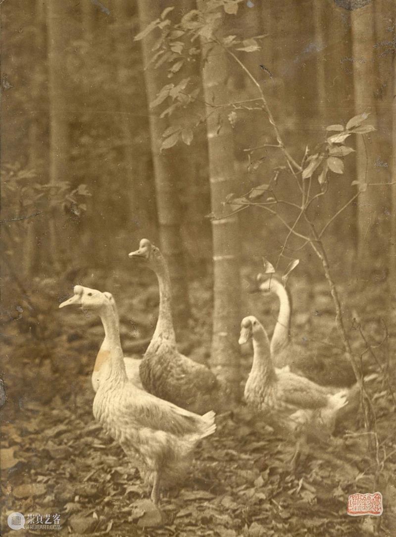 中贸圣佳2021春拍｜中国艺术摄影的黄金年代·民国艺术摄影专题 艺术 中国 民国 专题 黄金 年代 艺术摄影 拍卖会 北京国际饭店会议中心 北京市 崇真艺客