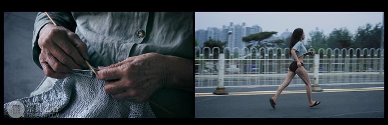 追逐自由的灵魂：刑丹文的创作世界  临港当代美术馆 灵魂 丹文 世界 邢丹文 西安 中央美术学院 学士学位 纽约视觉艺术学院 硕士学位 北京 崇真艺客