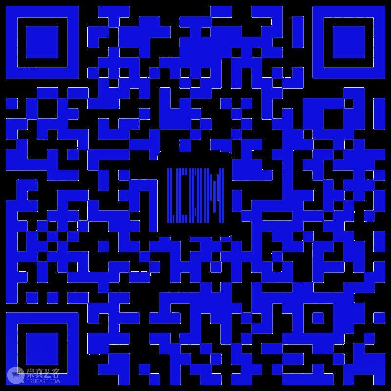 追逐自由的灵魂：刑丹文的创作世界  临港当代美术馆 灵魂 丹文 世界 邢丹文 西安 中央美术学院 学士学位 纽约视觉艺术学院 硕士学位 北京 崇真艺客