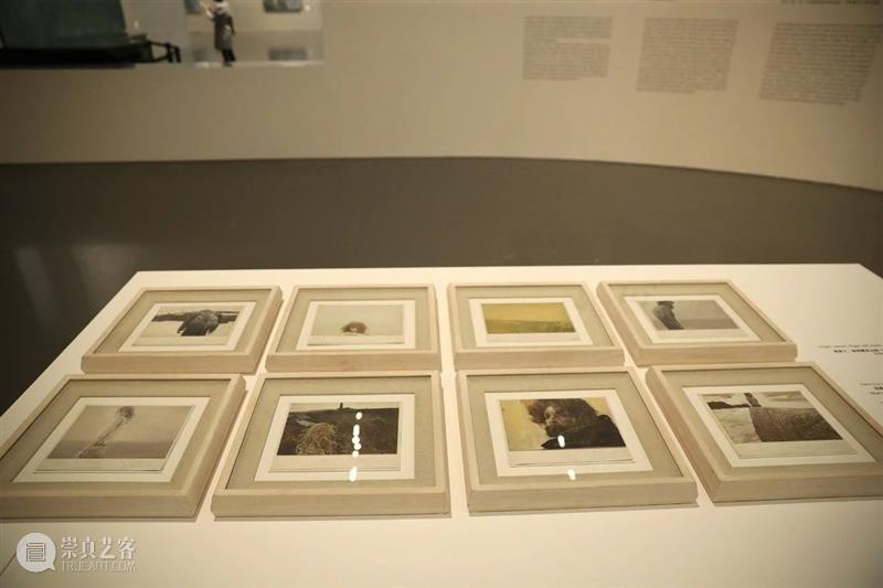 LONG文章 | 何多苓口述《雪雁》和《带阁楼的房子》 何多苓 雪雁 带阁楼的房子 文章 LONG 个展 龙美术馆 西岸 艺术家 作品 崇真艺客