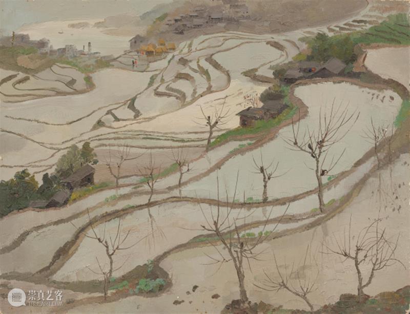 【中华艺术宫 | 轻悦读】吴冠中《水田（一）》：天光云影共徘徊 吴冠中 水田 中华艺术宫 天光云影 油画 梯田 水稻 田里 四川 镜子 崇真艺客