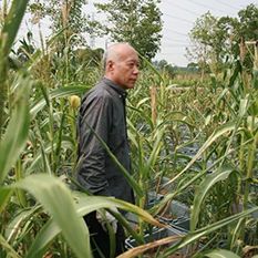 每个孩子都是一座电厂 电厂 每个孩子 孩子们 节日 艺术家 建筑师 设计师们 小朋友们 礼物 想象力 崇真艺客