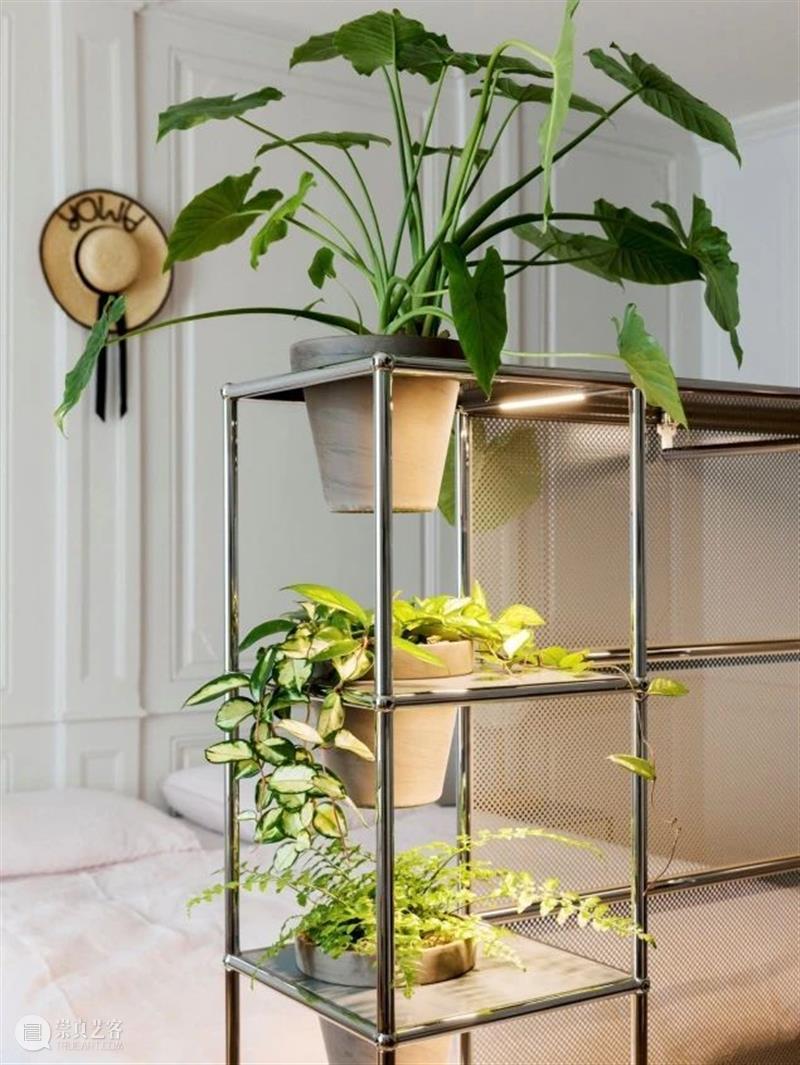 瑞士家具品牌USM将携全新系列A World of Plants 首登”设计上海“2021 瑞士 家具 品牌 USM 上海 系列 Plants 右侧 二维码 原文 崇真艺客
