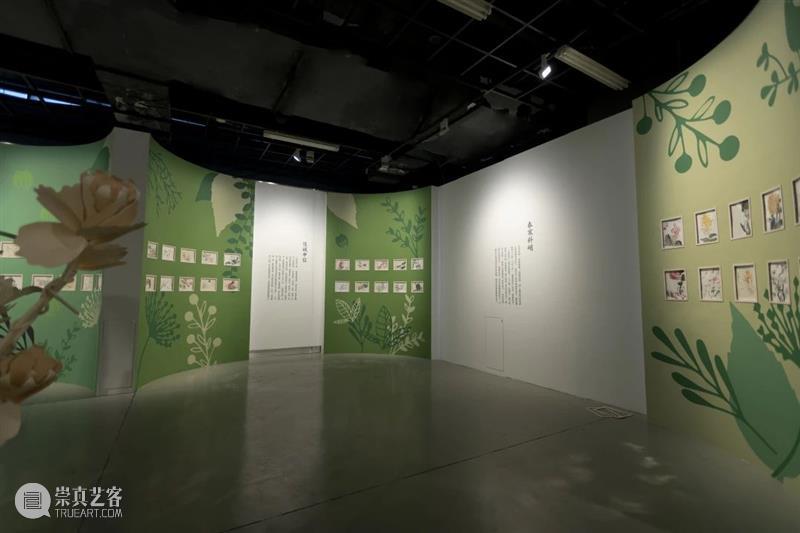六一｜百位小艺术家百花齐放，浙江美术馆“伢儿花语”展开幕 浙江美术馆 花语 小艺术家 伢儿 小伢儿 杭州 小孩子 称呼 小孩 人们 崇真艺客