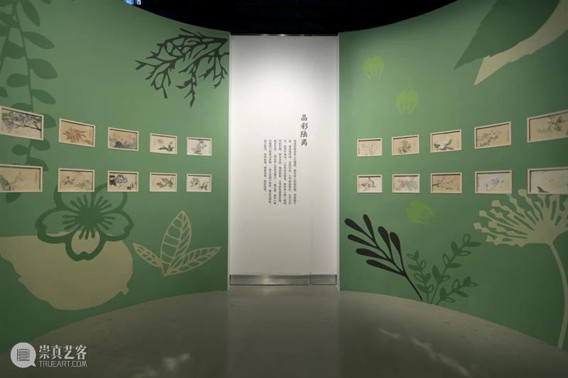 六一|百位小艺术家百花齐放,浙江美术馆“伢儿花语”展开幕 浙江美术馆 花语 小艺术家 伢儿 小伢儿 杭州 小孩子 称呼 小孩 人们 崇真艺客