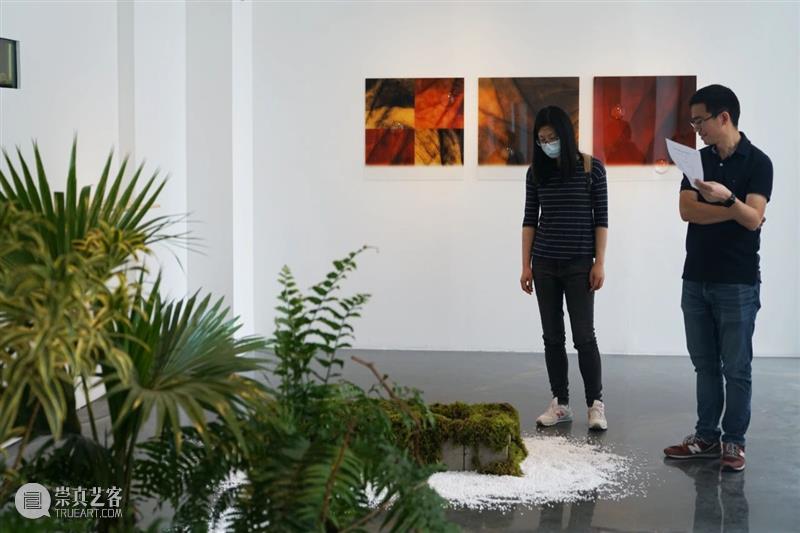阆风艺术 | iglass2021“当前现实”今日起对公众开放 当前 现实 阆风 艺术 公众 Rogers Inguna Audere 艺术家 作品 崇真艺客
