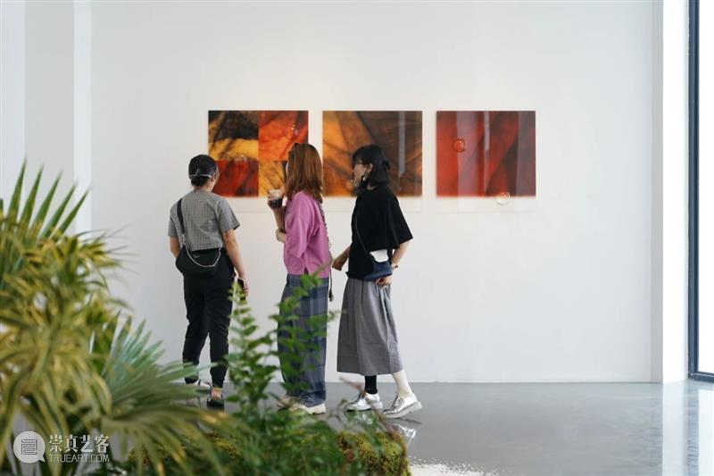 阆风艺术 | iglass2021“当前现实”今日起对公众开放 当前 现实 阆风 艺术 公众 Rogers Inguna Audere 艺术家 作品 崇真艺客