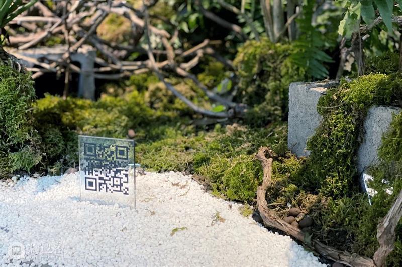 阆风艺术 | iglass2021“当前现实”今日起对公众开放 当前 现实 阆风 艺术 公众 Rogers Inguna Audere 艺术家 作品 崇真艺客