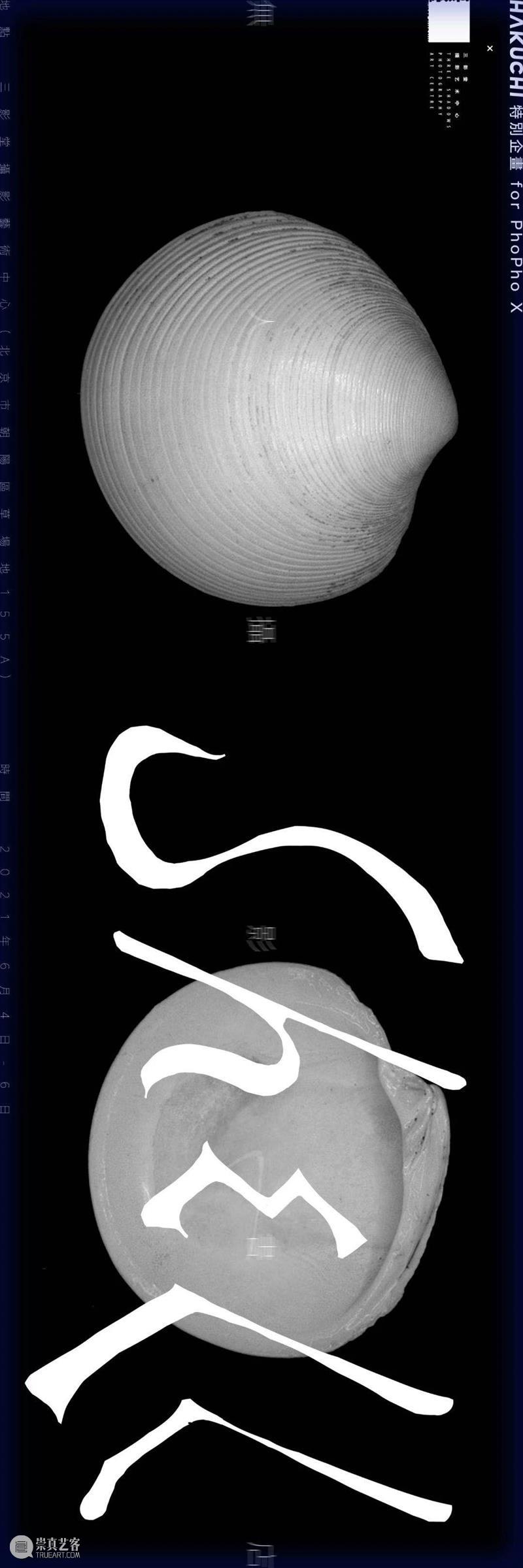 PhoPho X 揭晓｜无人摄影书店“SHELL”参展摄影书全公开！ SHELL PhoPho 揭晓｜无人摄影书店 三影堂 HAKUCHI 张欣 仪式 物品 家庭 日常用品 崇真艺客