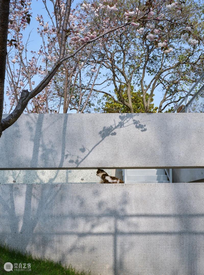 下沉城市空间：上海苏州河樱花谷 / 同济原作设计工作室 城市空间 原作 工作室 上海 同济 苏州河樱花谷 章鱼 乍浦路桥 四川路桥 之间 崇真艺客