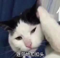 漫威《雷神4》正式杀青；《招魂3》发布终极预告 雷神4 漫威 招魂3 终极 预告 影视 好剧 小豆 电影 场次 崇真艺客