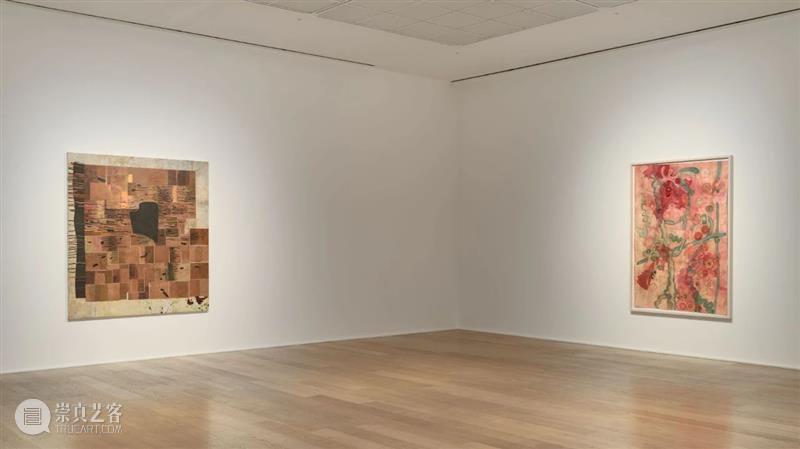 展览现场：埃伦·加拉格尔个展「渔获的狂喜」@豪瑟沃斯伦敦 埃伦·加拉格尔 渔获 豪瑟 沃斯 伦敦 现场 个展 Gallagher 层次 作品 崇真艺客