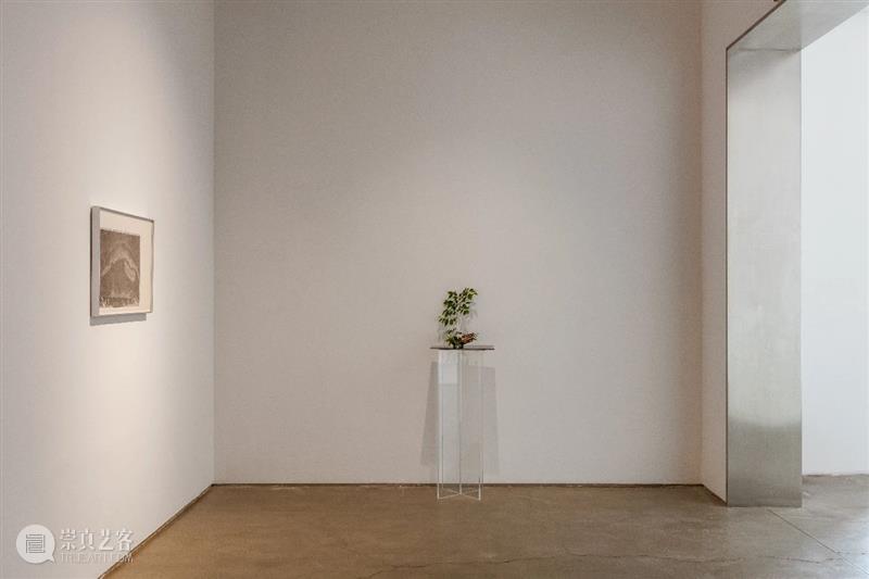 展评 | 程婷婷：物质作为一种凝固的能量场 程婷婷 物质 能量场 展评 艺术家 作品 信息 空间 微信 GINKGOSTORE 崇真艺客