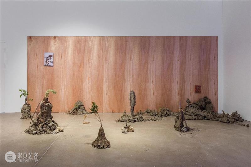 展评 | 程婷婷：物质作为一种凝固的能量场 程婷婷 物质 能量场 展评 艺术家 作品 信息 空间 微信 GINKGOSTORE 崇真艺客