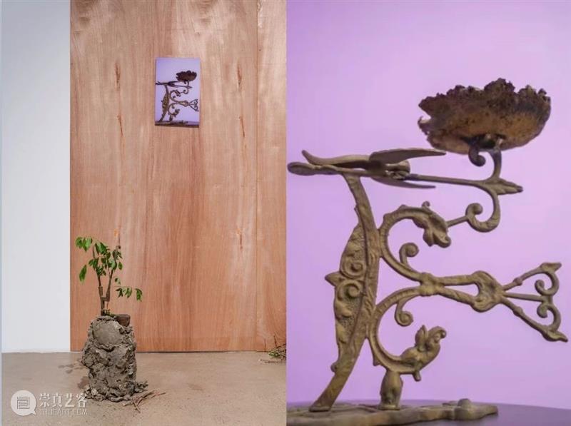 展评 | 程婷婷：物质作为一种凝固的能量场 程婷婷 物质 能量场 展评 艺术家 作品 信息 空间 微信 GINKGOSTORE 崇真艺客