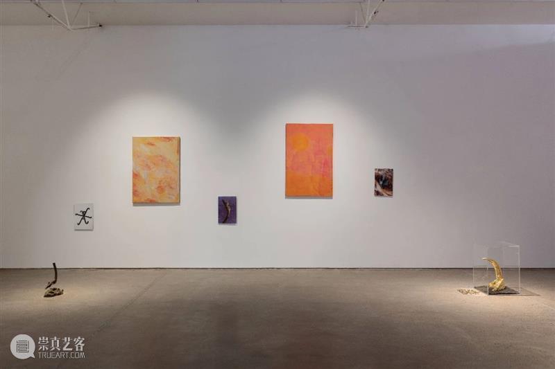 展评 | 程婷婷：物质作为一种凝固的能量场 程婷婷 物质 能量场 展评 艺术家 作品 信息 空间 微信 GINKGOSTORE 崇真艺客