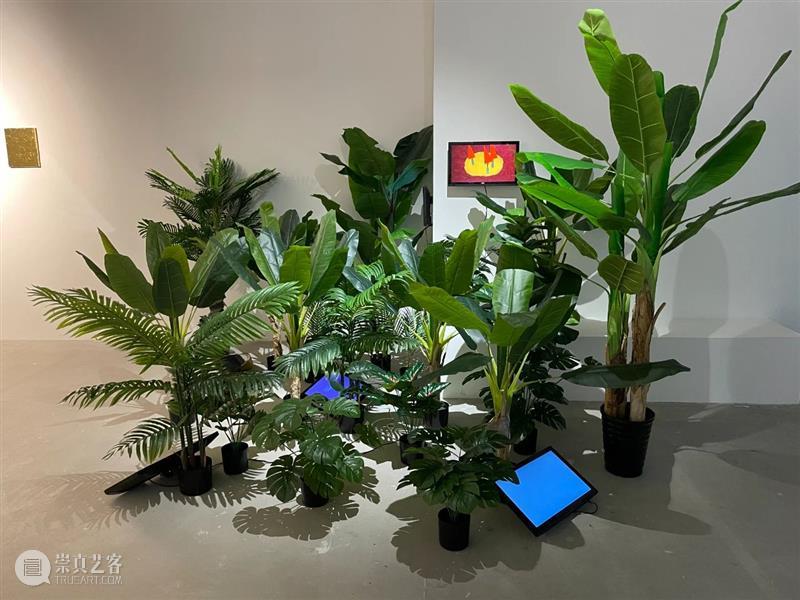 藝術門 上海｜群展预告｜出棋不意 Players 6+1 群 藝術門 上海 ｜群展预告｜ Players 群展 出棋不意 艺术家 胡亦宽 倪志琪 夏云飞 崇真艺客