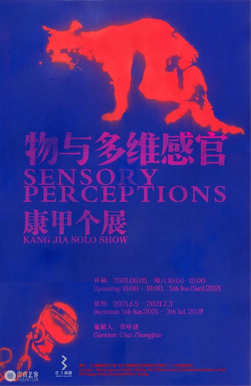 展讯 I 康甲个展 - 物与多维感官 多维 感官 康甲 个展 展讯 Perceptions 策展人 柴中建 Curator Zhongjian 崇真艺客