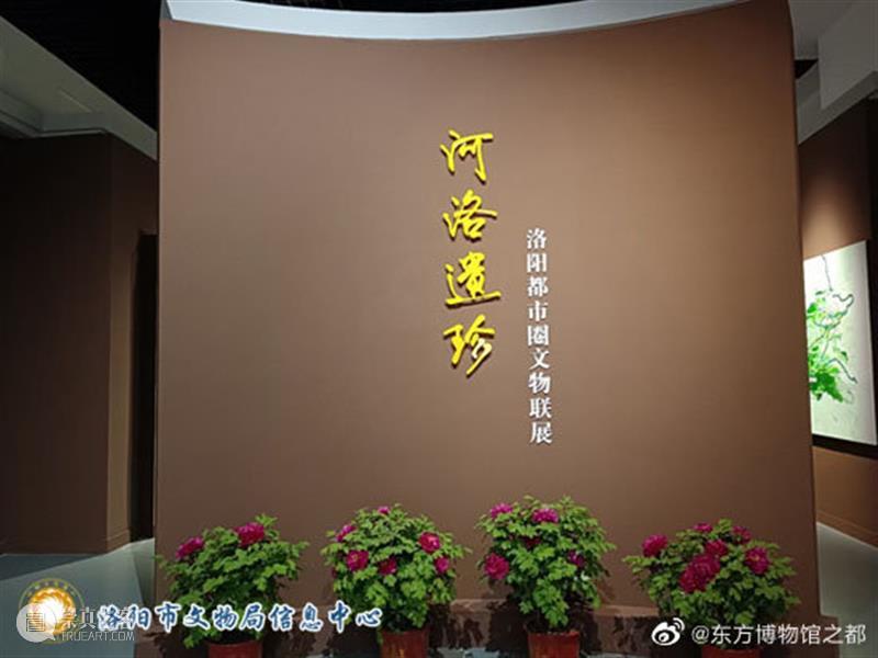 【全国其他】6月份有什么好看的展览?(第1期) 全国 天下 百代 秦政 单元 襄公 穆公宣志 孝公图强 惠文王 昭襄王 崇真艺客