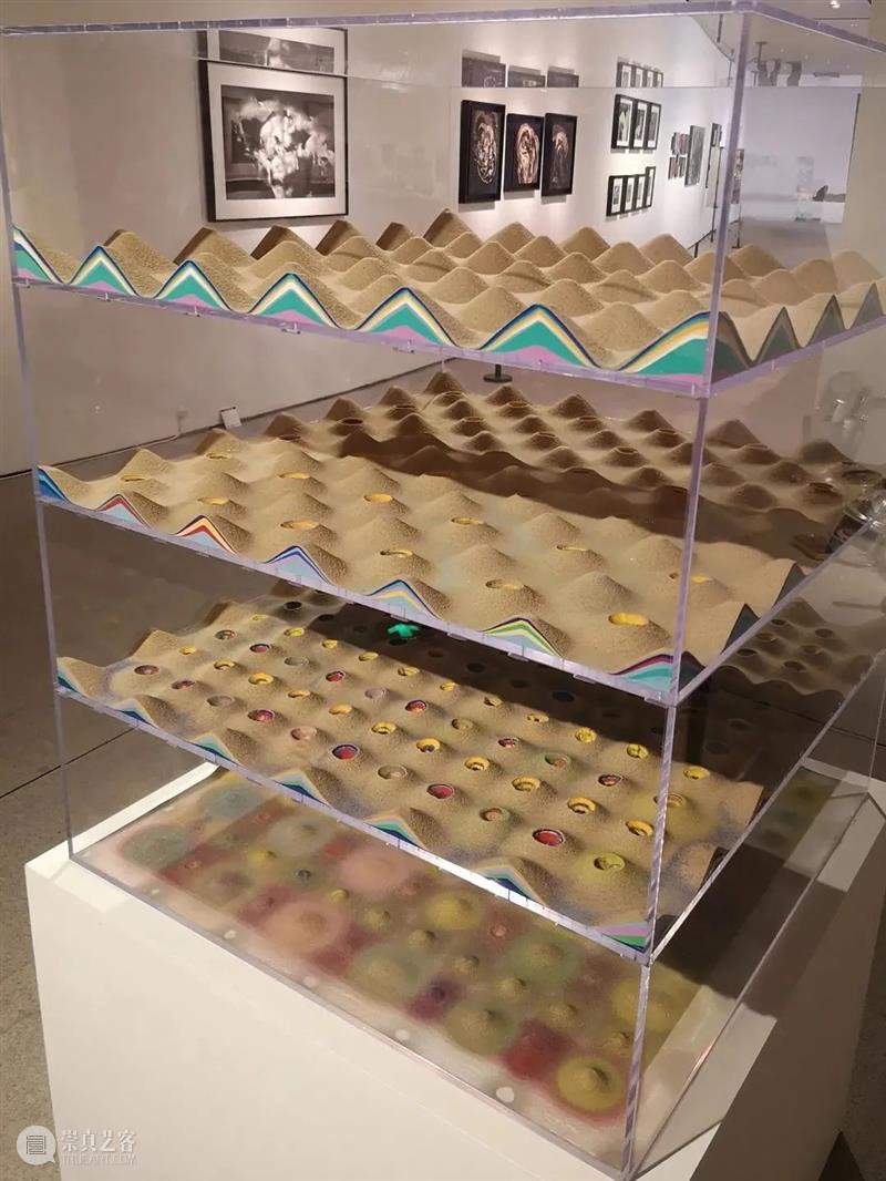 版画系 | “2021中央美院本科生毕业展”作品推介 版画 本科生 作品 中央美院 毕业展 毕业季 观众 邀请函 VIP 嘉宾 崇真艺客