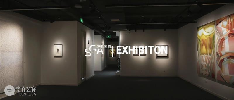 SGA沪申画廊 成都|太平精英观展活动 SGA 成都 沪申画廊 活动 精英 时光 陈文波 陈蔚 邓先志 吉磊 崇真艺客