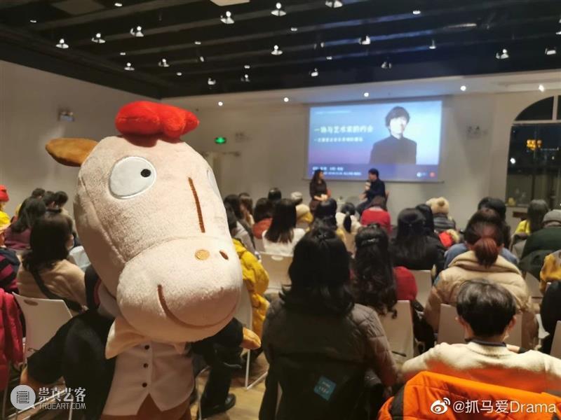今天起，这个可爱的“抓马”可以领回家啦 崇真艺客