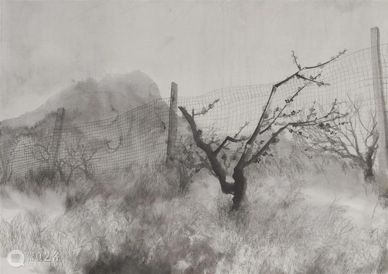 西安青年水墨展 | 参展作品及艺术家介绍(6)组:谭旭、王超、王远峰、汶振鑫、吴佩辰、吴宇轩 西安 青年 水墨展 艺术家 作品 王远峰 汶振鑫 吴佩辰 吴宇轩 谭旭 崇真艺客