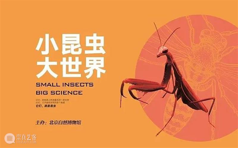 【京津冀】6月份有什么好看的展览？（第1期） 京津冀 时代楷模 中国共产党 华诞 主题 影像展 时间 地点 中华世纪坛南广场中国国家画院庆祝中国共产党 和顺 崇真艺客