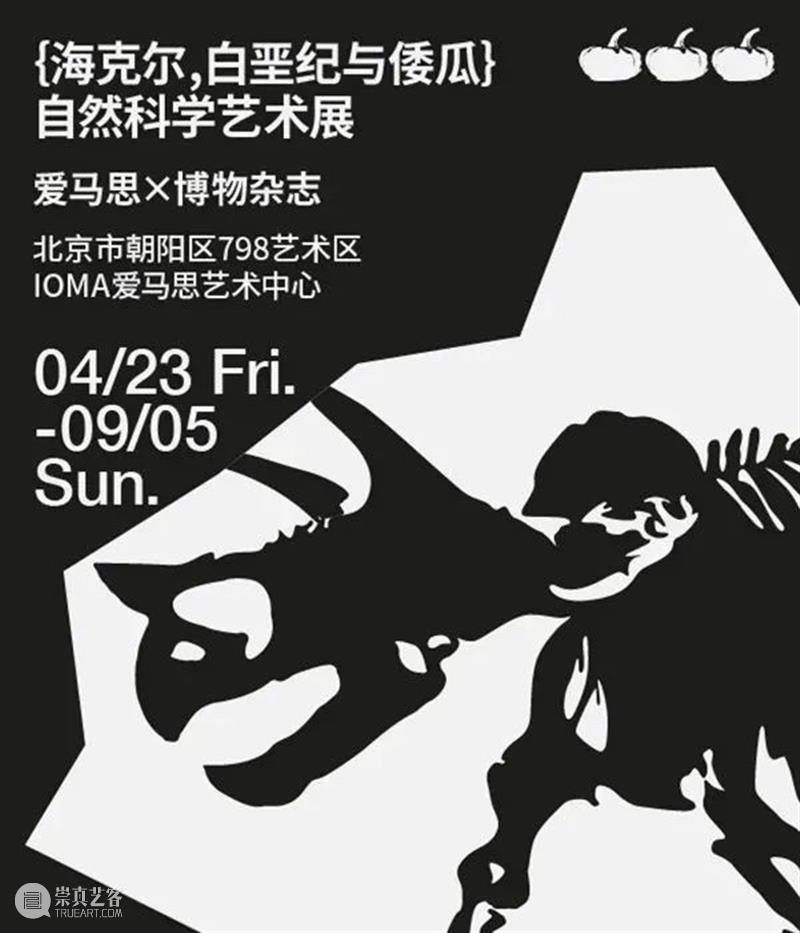 【京津冀】6月份有什么好看的展览？（第1期） 京津冀 时代楷模 中国共产党 华诞 主题 影像展 时间 地点 中华世纪坛南广场中国国家画院庆祝中国共产党 和顺 崇真艺客