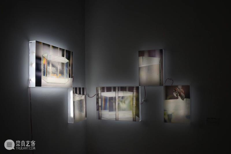 终于见面！｜PhoPho Fair 参展艺术机构介绍 PhoPho Fair 艺术 机构 三影堂 艺术家 作品 期间 正价 门票 崇真艺客