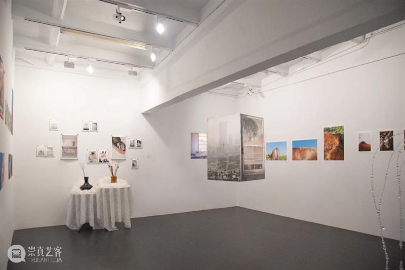 终于见面！｜PhoPho Fair 参展艺术机构介绍 PhoPho Fair 艺术 机构 三影堂 艺术家 作品 期间 正价 门票 崇真艺客