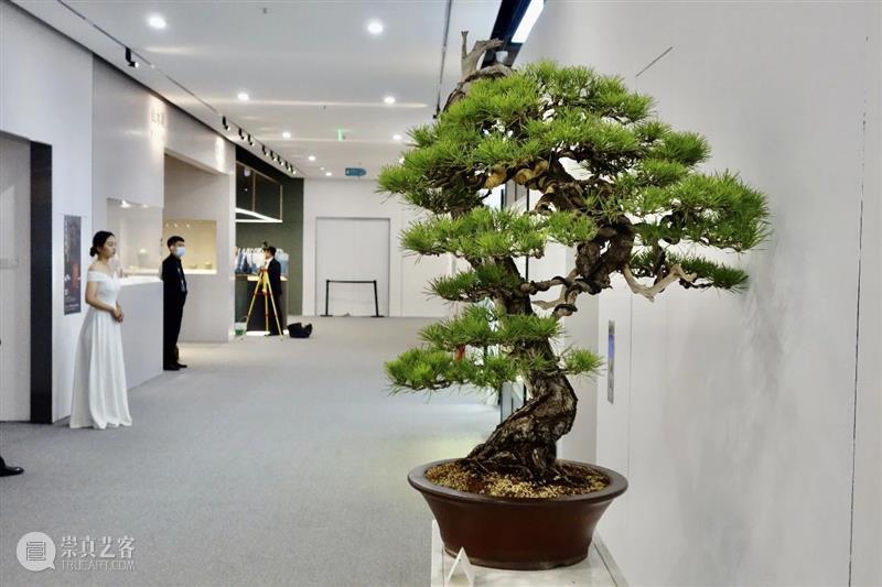 首届圣佳艺术博览会暨东瀛遗珠特展今日于圣佳艺术空间盛大开幕！ 圣佳艺术空间盛大 东瀛 遗珠 特展 首届圣佳艺术博览会暨 时间 开幕式 VIP 公众展 地址 崇真艺客